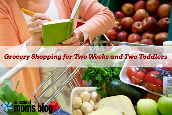 The Power of 2: Grocery Shopping for Two Weeks and Two Toddlers