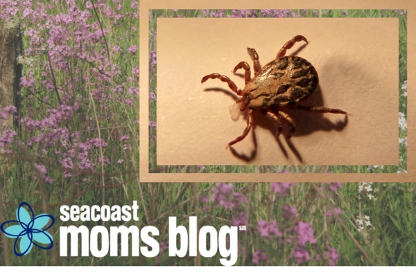 Lyme Disease: What Every Mom Needs To Know