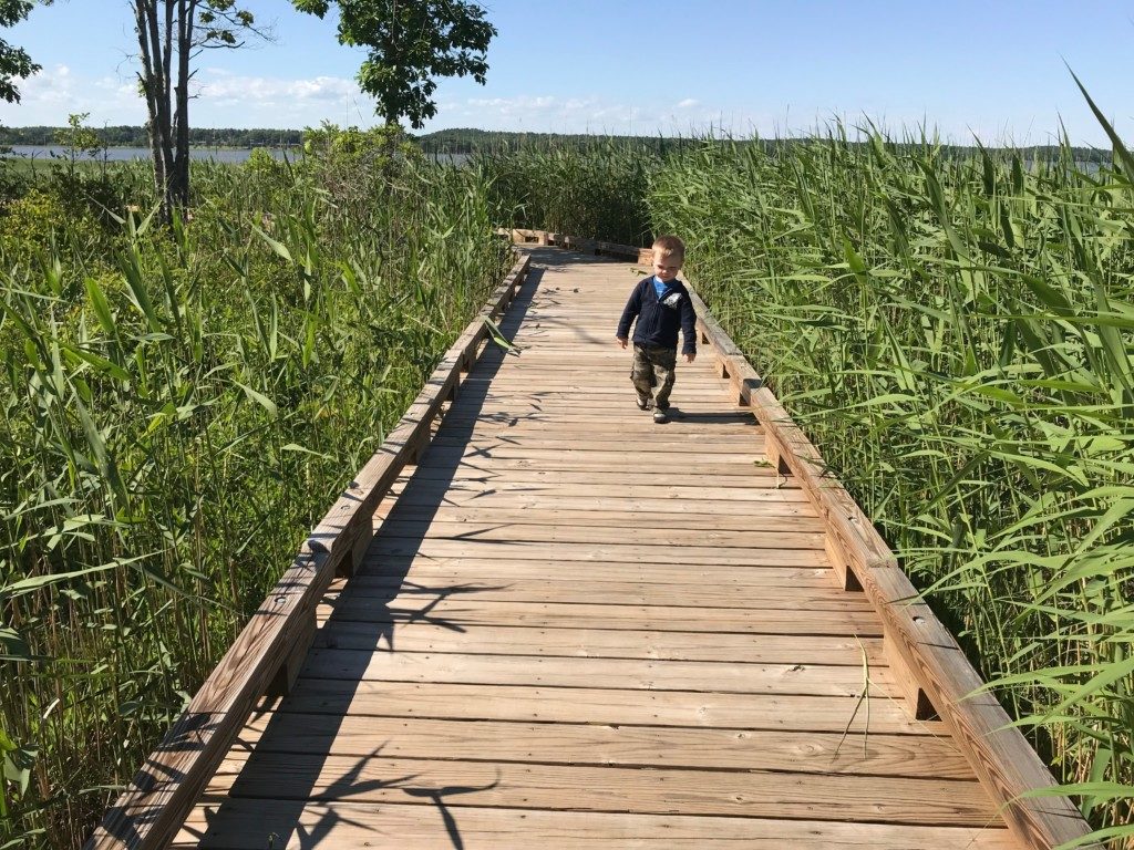 Toddler-Friendly Seacoast Nature Walks - Great Bay Discovery Center