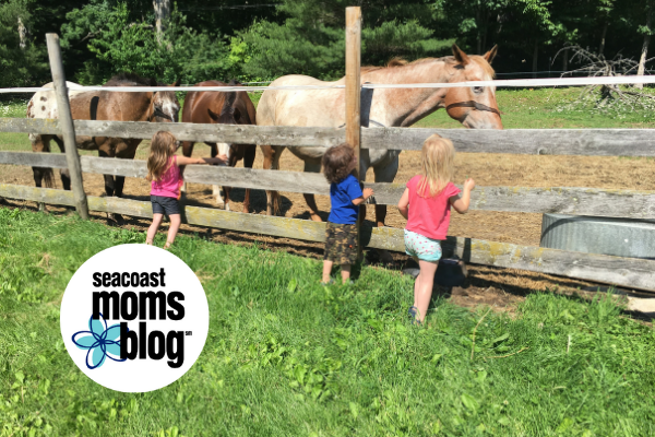 Benefits of Horseback Riding for Children: Building Good Riders and Kids