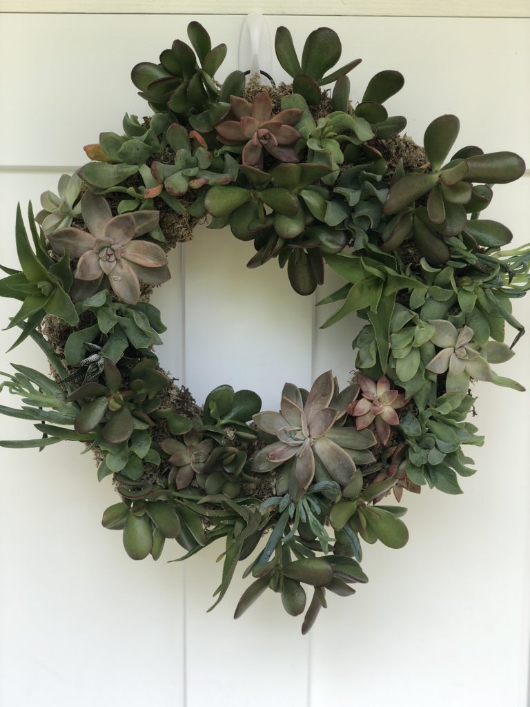 Summer DIY: Make Your Own Succulent Wreath