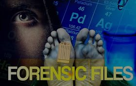 enjoy true crime with forensic files