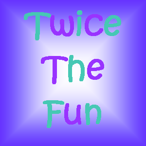 twice the fun seacoast indoor play places
