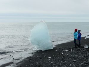 children see ice on beach