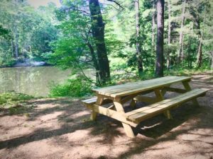 Picnic Table by river