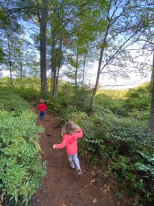winnie the pooh trail - one of the great Seacoast hikes