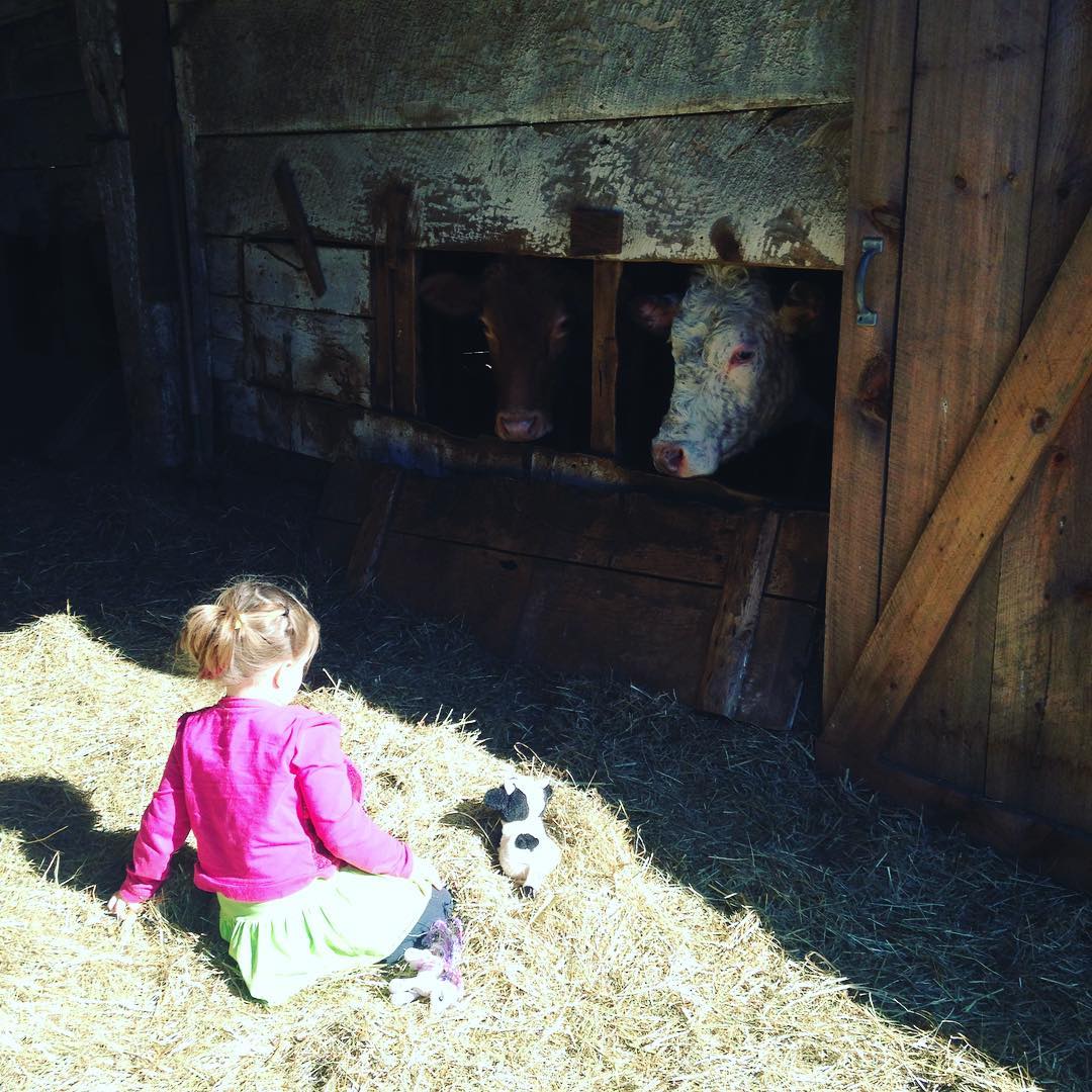 farm kids consider animals their friends