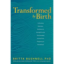 Book cover of Transformed by Birth. Gold letters on a teal cover.