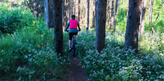 A woman riding a bike (seen from behind) on a trail in woods, with white flowers on the trail edges.