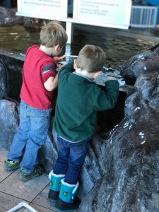 boys at touch tank